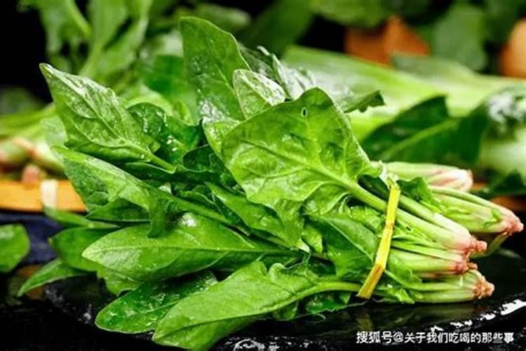 刚出苗的菠菜用不用施肥,施肥要注意哪些？