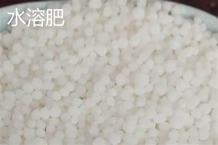 喷施磷酸二氢钾和高钾水溶肥哪个效果好