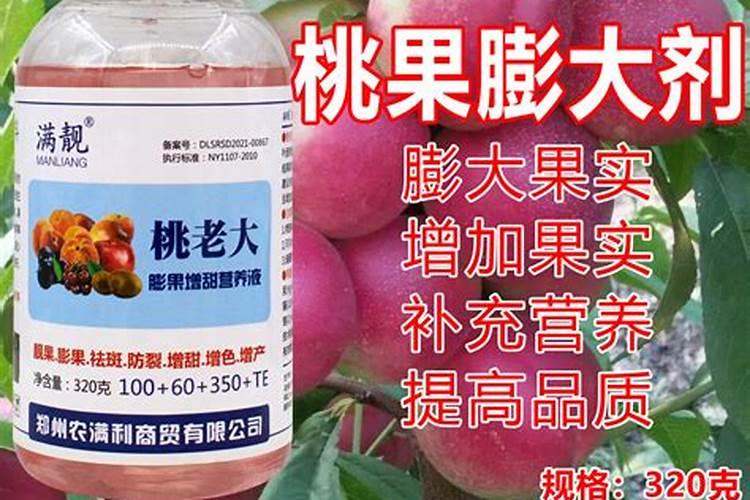 果树花期补硼、花后补钙,补错了果子当然长不好