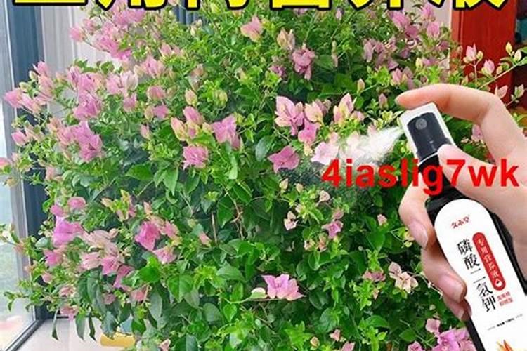 氯化镁主要适用哪些企业(厂家)？