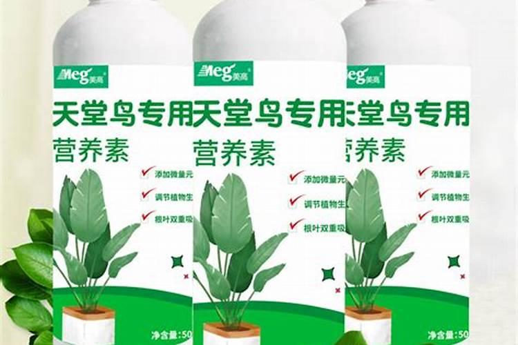 水溶肥的肥效有几天