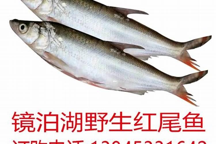 黑龙江省牡丹江市特产是什么