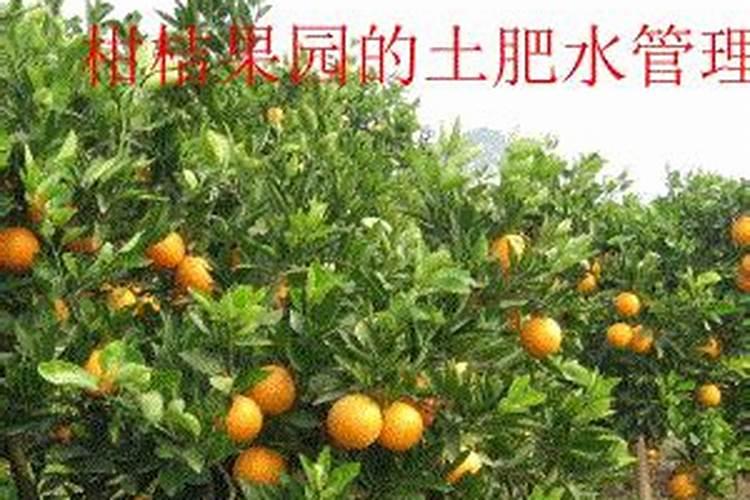 小葱出苗后打什么除草剂