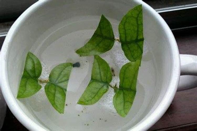 含钾二铵与二铵区别