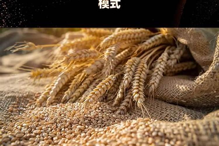 小麦施肥的几个技巧