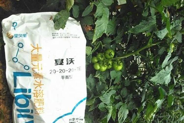 1斤水溶肥按300倍液配兑多少水