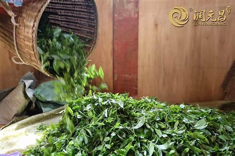茶叶化肥使用方法
