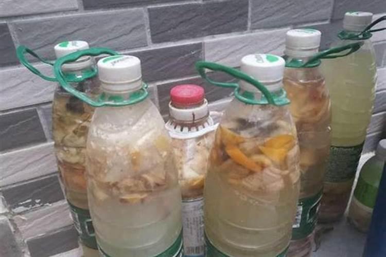 如何用鱼沤肥