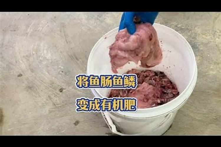 什么是磷肥