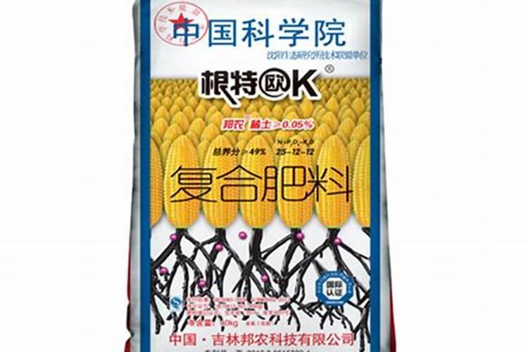 福州哪里批发鲜花
