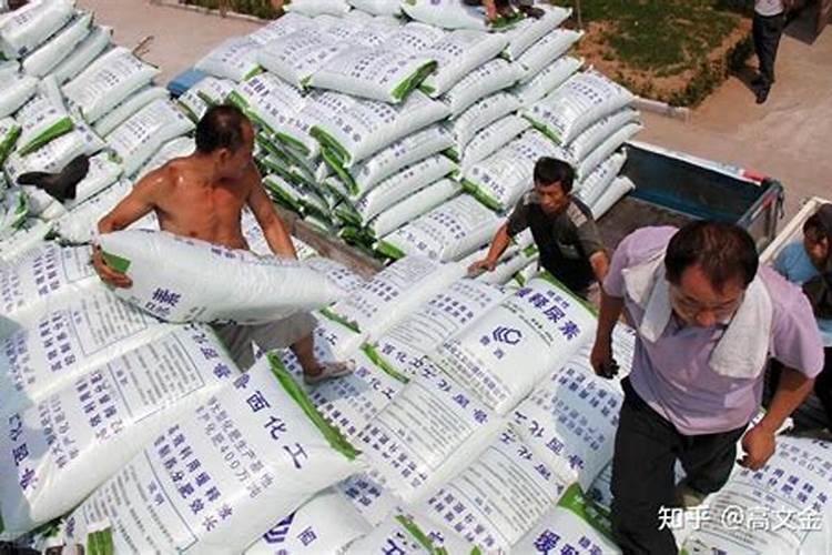 冬小麦什么时候追肥最好追多少肥