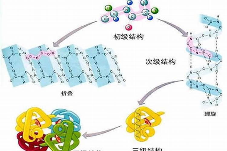 梨树追肥注意什么