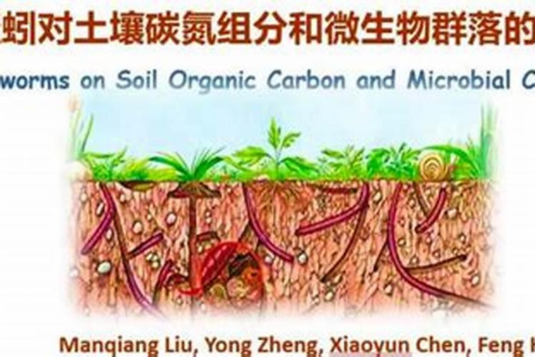 蚯蚓粪腐植酸的机理作用是什么,主要对农作物来说？