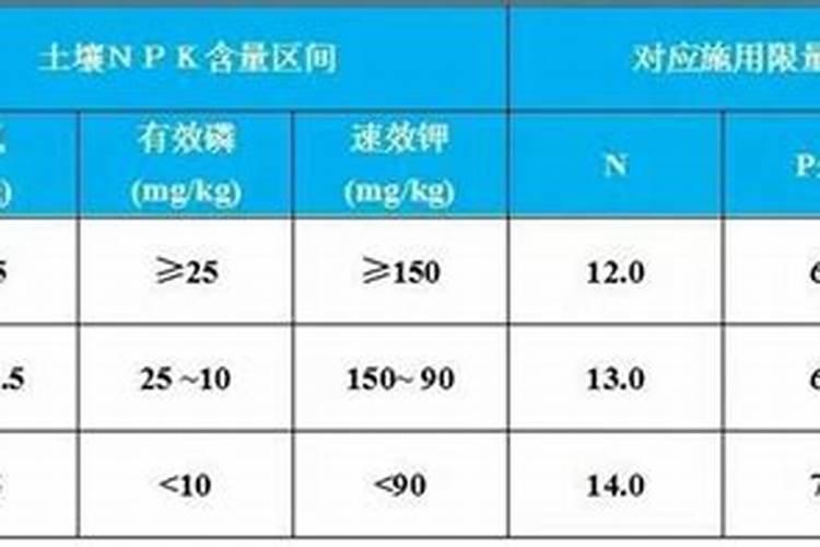 玉米底肥一次性施肥 氮磷钾 各用多少？