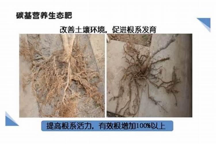 土地磁盘用什么肥料