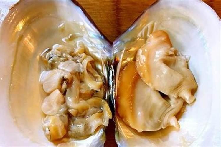 兰花花肥用什么合适 肥料制作与使用方法