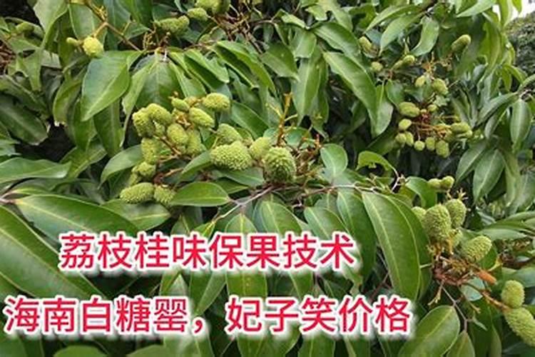 区别氯化钾硫酸钾