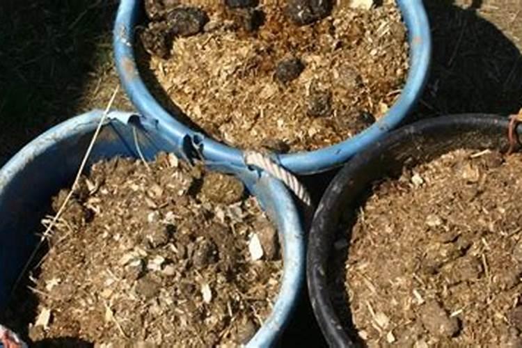 有什么可以当作植物的肥料？