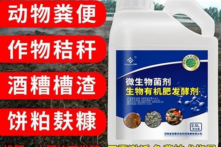 水溶肥菌肥哪个地区使用多