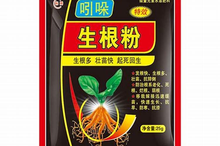 草莓生根壮苗的水溶肥有几种？