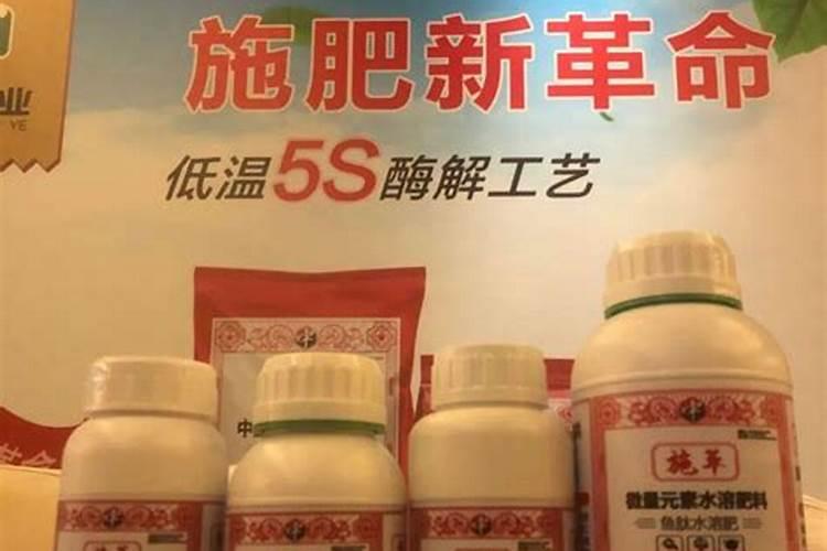 文竹施肥时间,怎样给文竹施肥