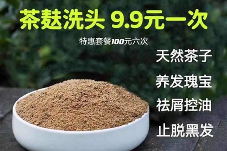 抱茎茶种植技术以及病害和用药