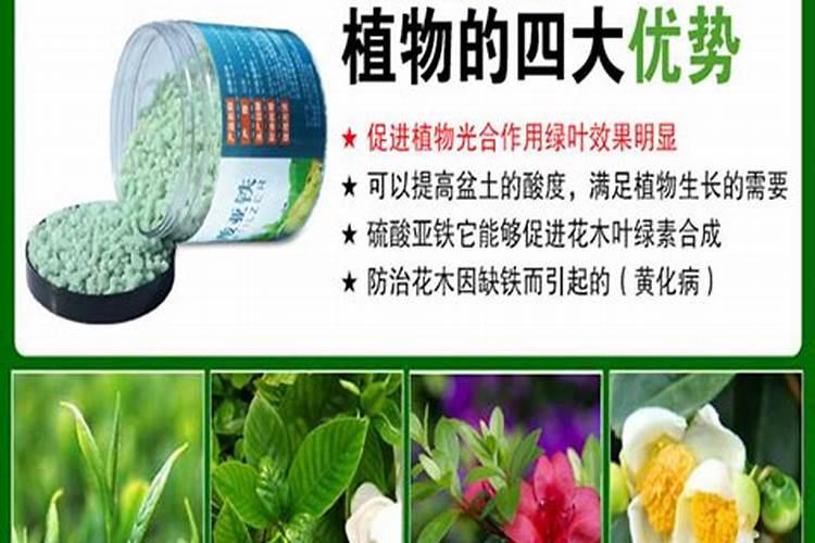 螯合物是如何形成的？