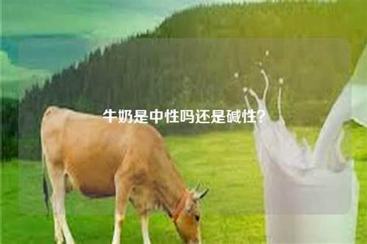草莓上有白霜是怎么了 草莓上有白霜怎么办