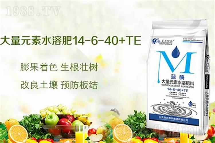 铁树多少钱一棵？2020年铁树价格最新行情预测