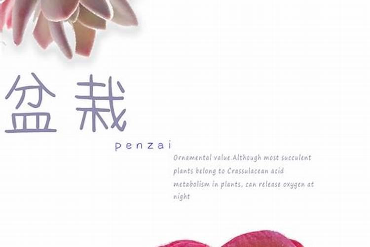 室内养“五花”,花旺人不旺,别忽视