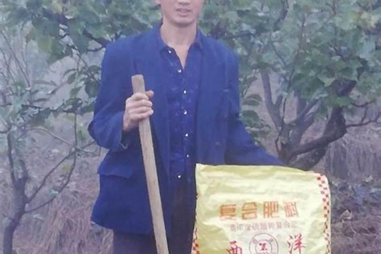西洋复合肥是中国10大品牌吗