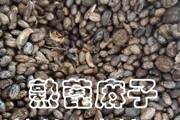 蓖麻子可以用作花肥吗？蓖麻子可以用作花肥吗谢谢大家啦...