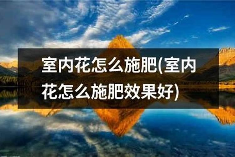 炒熟的花生怎么做花肥