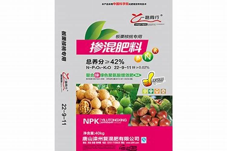 开罗拉面店各口味拉面制作配方,开罗拉面店配料制作指南