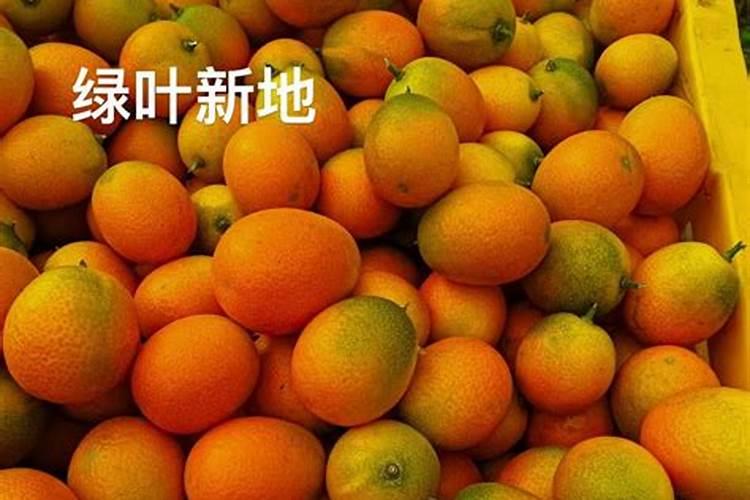 金桔用什么肥料