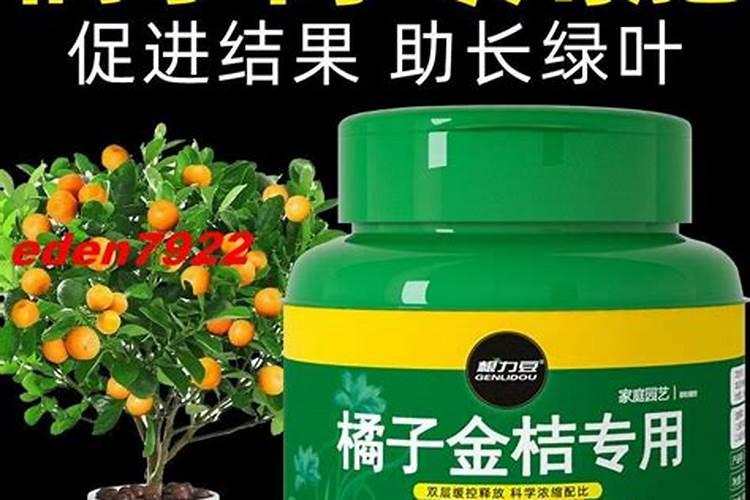 柑橘用什么肥料果实更甜 橘子增甜施什么肥好