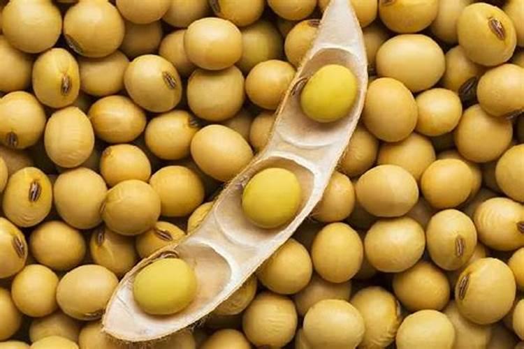 种大豆一垧地多少氮肥多少磷肥多少钾肥