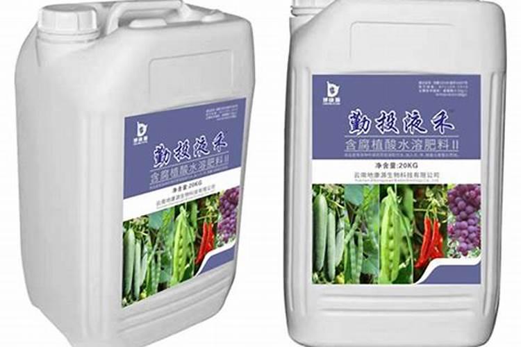 现在给水稻田打农药要注意什么(就是除草剂一类的)？