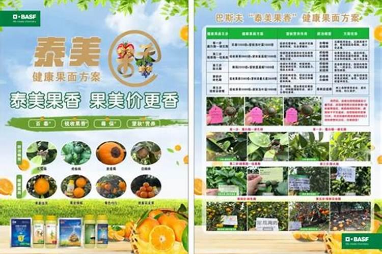 用什么叶面肥可以使荔枝熟得颜色好