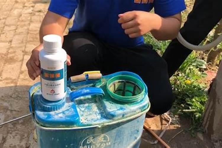 水溶肥能给农作物带来多大的帮助？