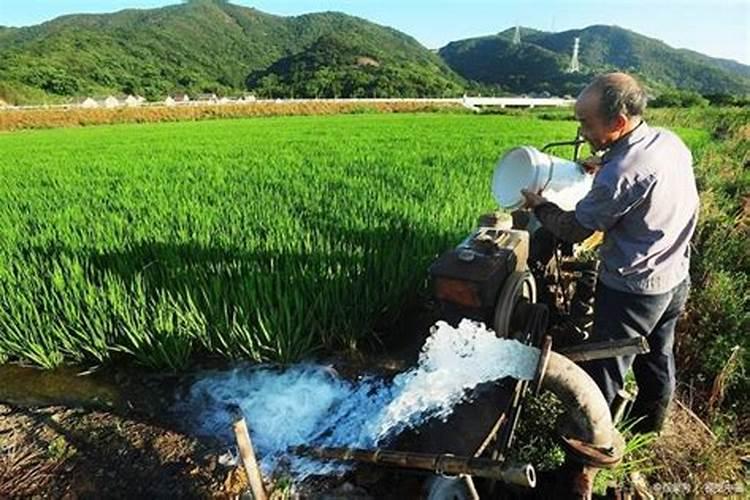 稻田土壤中的氮磷钾是怎样供应的？
