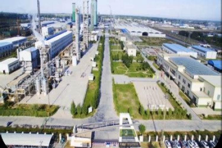 新疆玉象胡杨化工有限公司电话是多少？