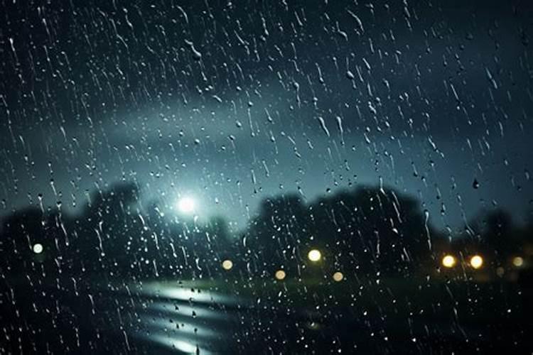 下雨后冬青用打杀菌剂吗