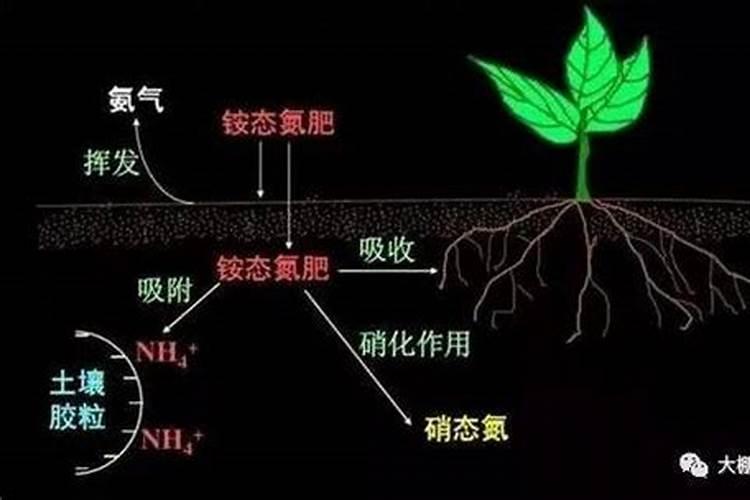 提高氮肥利用率的途径有哪些,氮肥属于哪种肥料