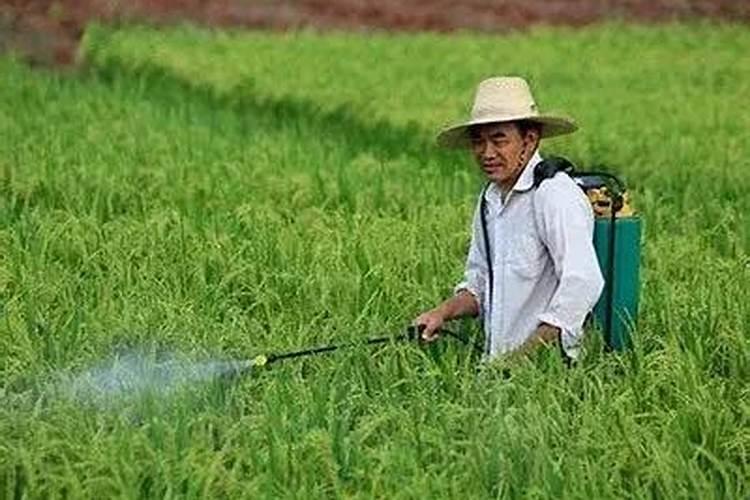大量元素水溶肥添加螯合微量元素好在哪儿