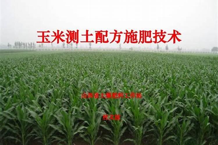 玉米底肥一次性施肥 氮磷钾 各用多少？