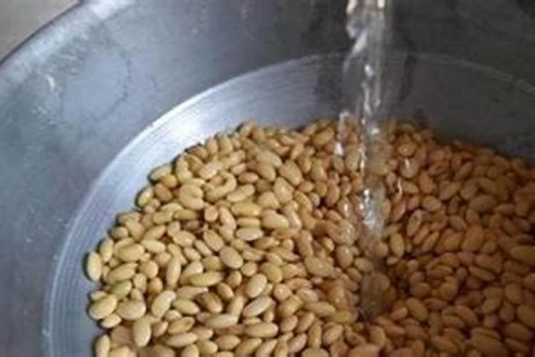 黄豆水是氮肥还是磷肥