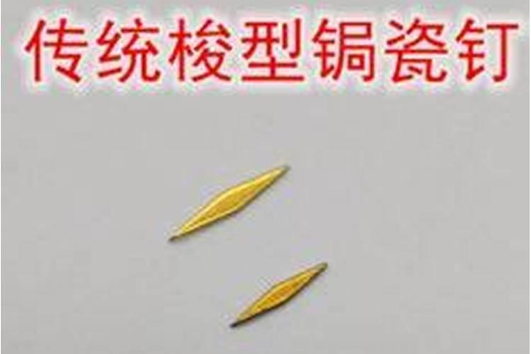 在花盆里插根铁钉可以补铁吗？