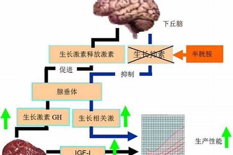 蓝藻爆发的原因是什么,如何治理