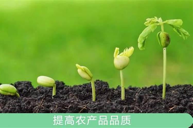 甜菜用甲哌鎓好吗？